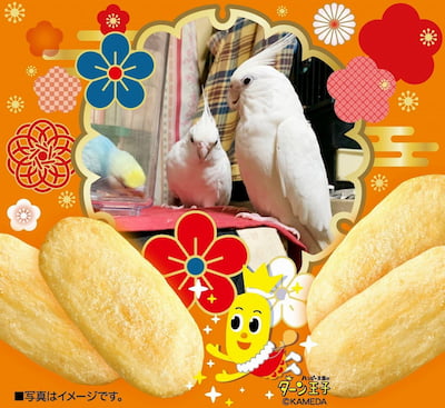 作例