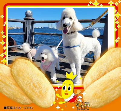 作例