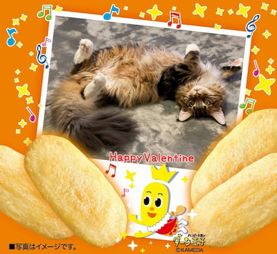 作例