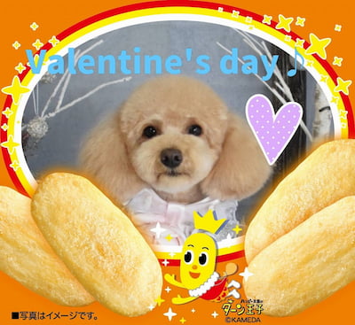 作例