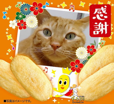 作例