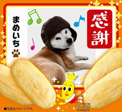 作例