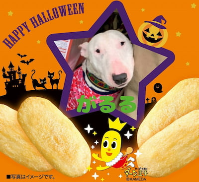 作例