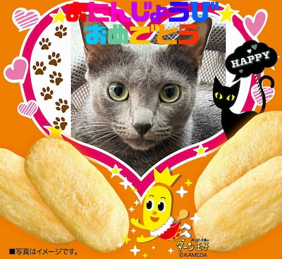 作例