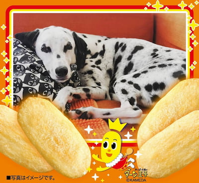 作例