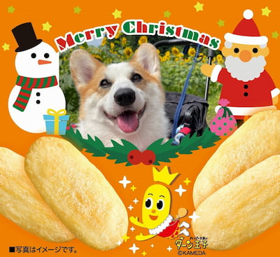 作例