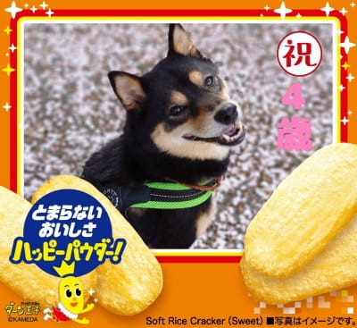 作例