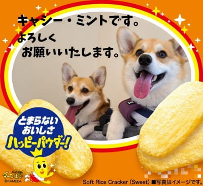 作例
