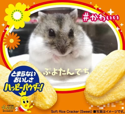 作例