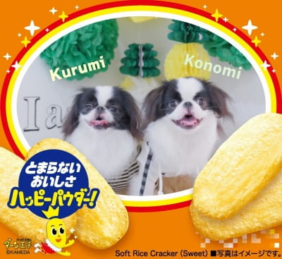 作例
