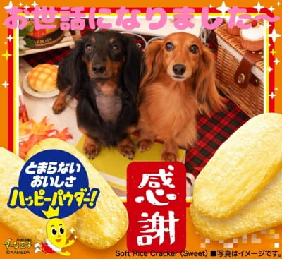 作例