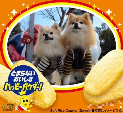 作例