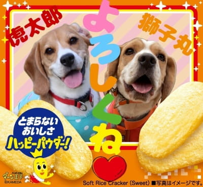 作例