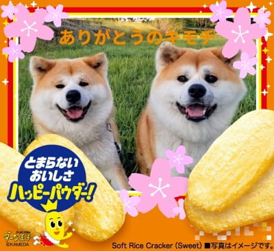 作例