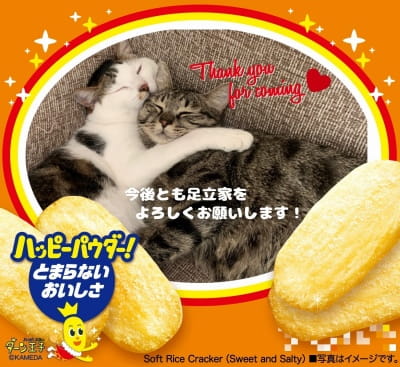 作例