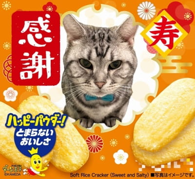 作例