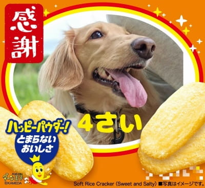 作例