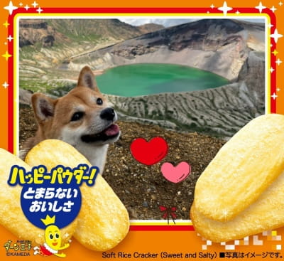作例