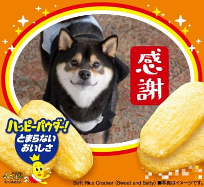 作例