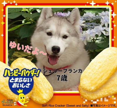 作例
