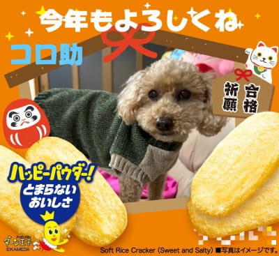 作例