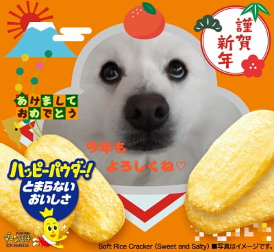 作例
