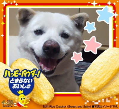 作例