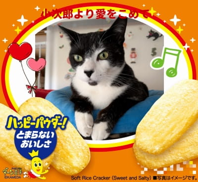 作例