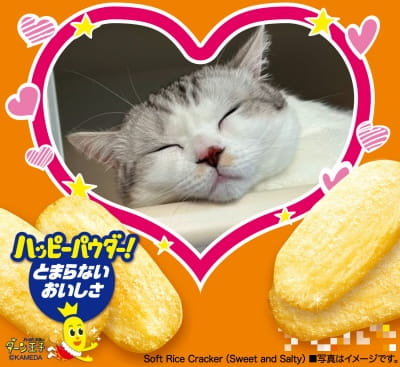 作例