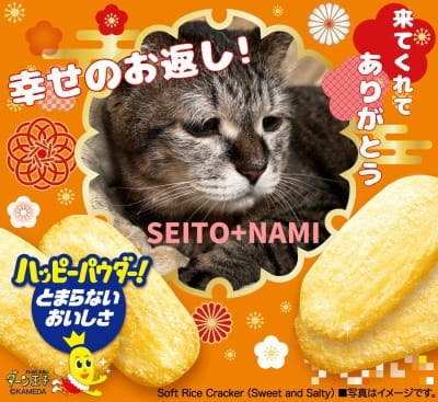 作例