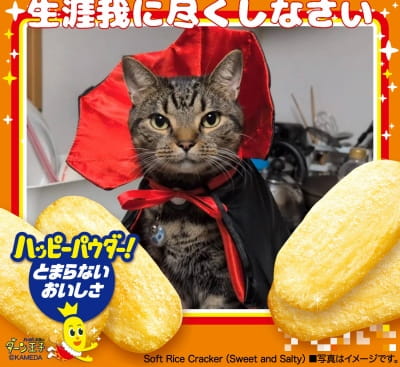 作例