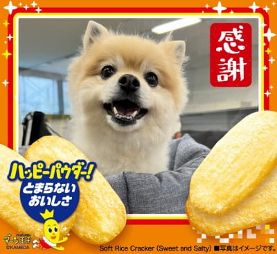 作例