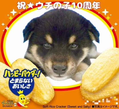 作例