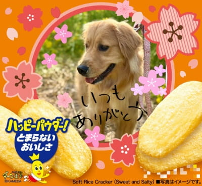 作例
