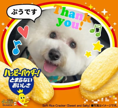 作例