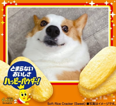 作例