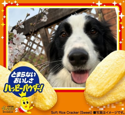 作例