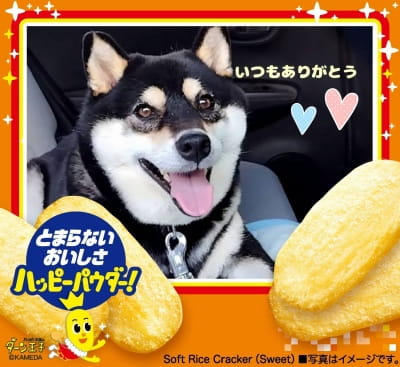 作例