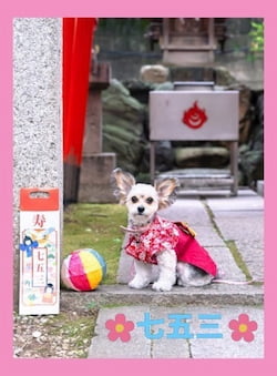 デコキャンのオリジナルキャンディ作例