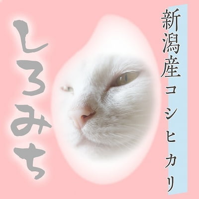 米デコギフトのプチギフト作成例