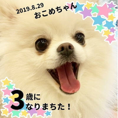 米デコギフトのプチギフト作成例
