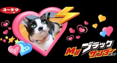 チョコレートのプチギフトにはMyブラックサンダー