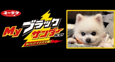 チョコレートのプチギフトにはMyブラックサンダー
