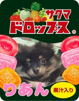 サクマデコドロップスのオリジナルキャンディ作例