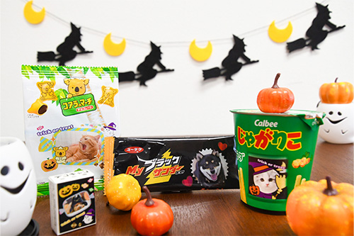 ペット ハロウィン作例