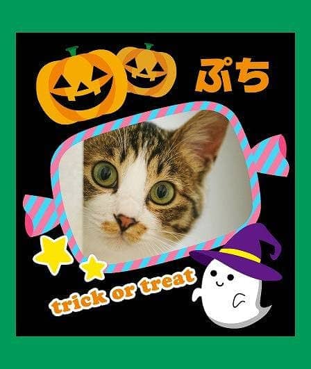 デコじゃがりこ ハロウィンパッケージ