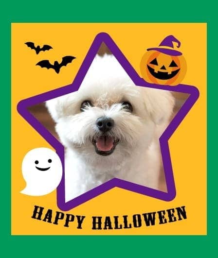 デコじゃがりこ ハロウィンパッケージ