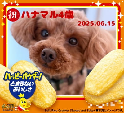 マイハッピーターンを写真入りギフトに利用した事例