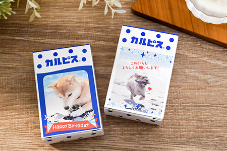 カルピスデコボックスノベルティ