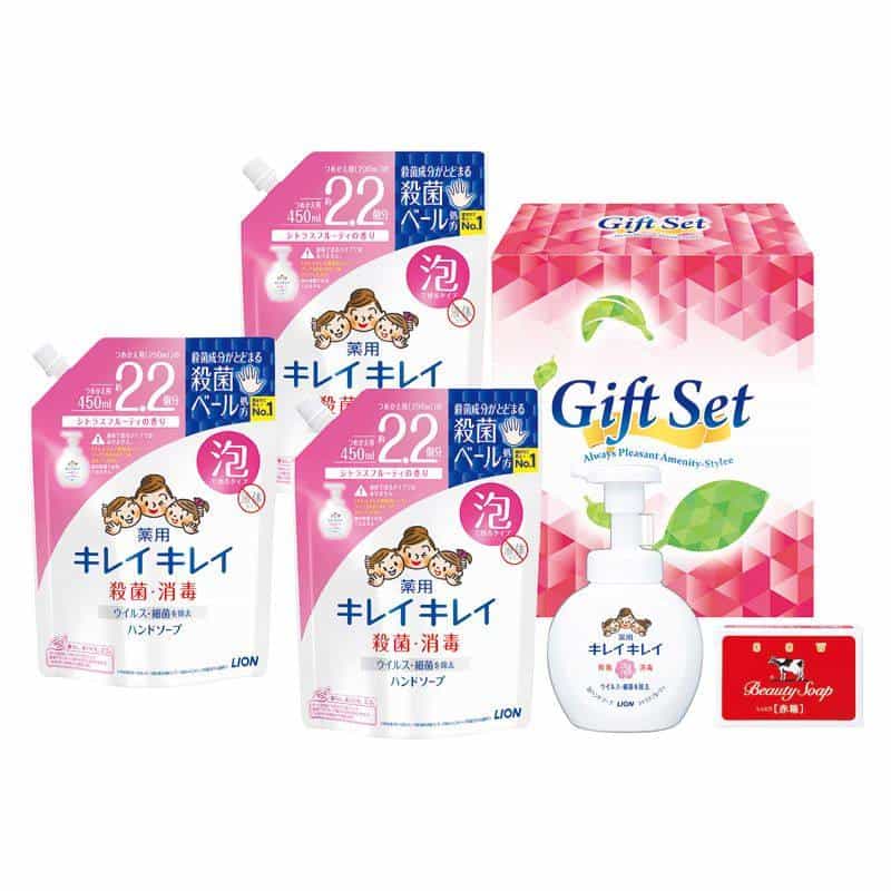 きちんとキレイギフト 　(1100028179)